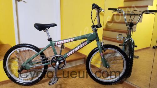 Specialized Vegas Fatboy fiche technique et avis